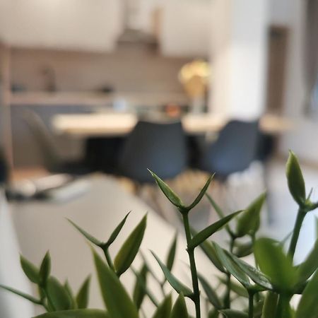 Apartma Bella Nadiza Kobarid Eksteriør billede