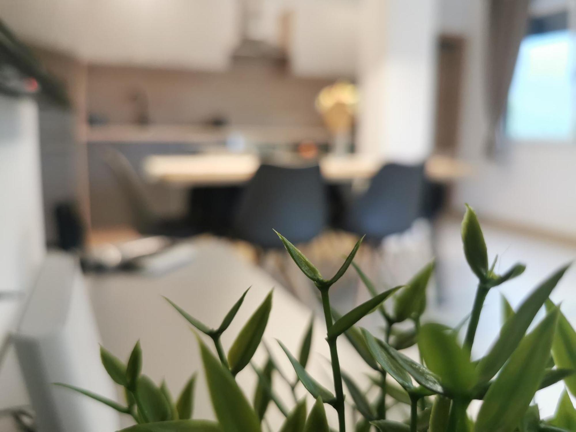Apartma Bella Nadiza Kobarid Eksteriør billede